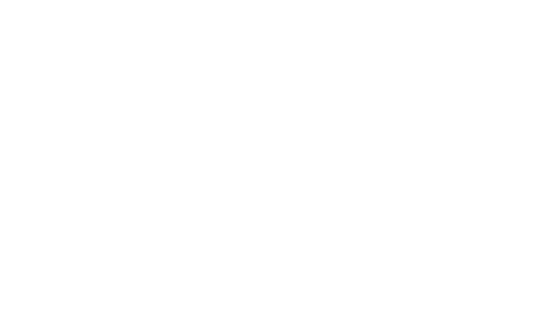 SolarWorld Inc
